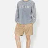Sigma Shorts